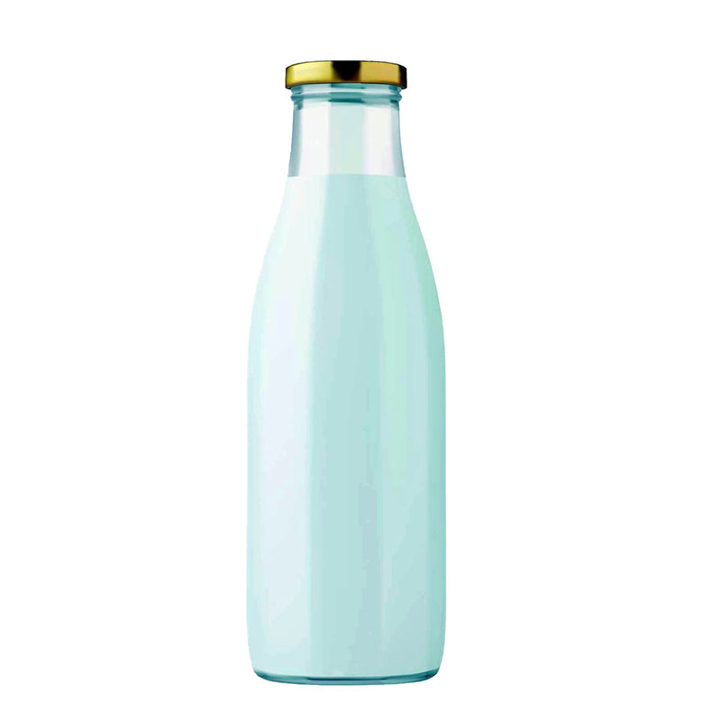 Style Homez Milk, Juice and Water Bottle with Air Tight Rust Proof Cap, Capacity 300 ml (0.3 Litre), 2 Bottle