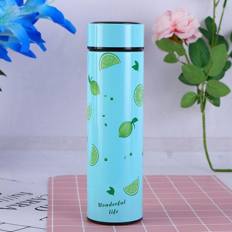 Style Homez WONDER Double Wall Vacuum Insulated Stainless Steel Flask BPA Free Thermos Travel Water Bottle Sipper 480 ml - Hot and Cold 12 Hours SKY Blue Color