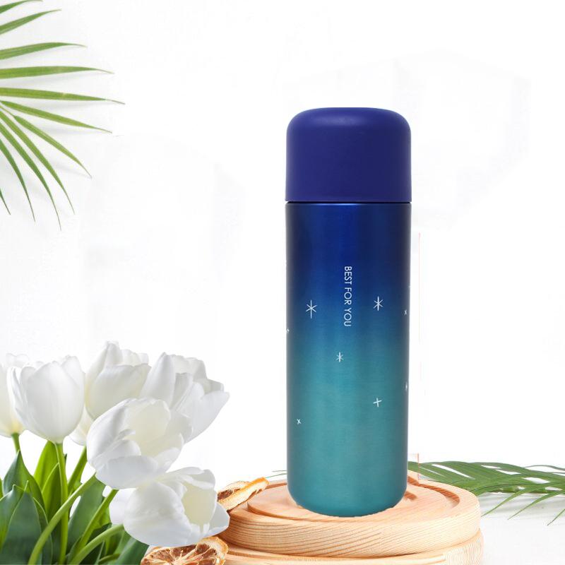 Style Homez STONY Flask  Vacuum Insulated Thermosteel Bottle  Stainless Steel Thermos BPA Free  Sapphire Blue Color 450 ml