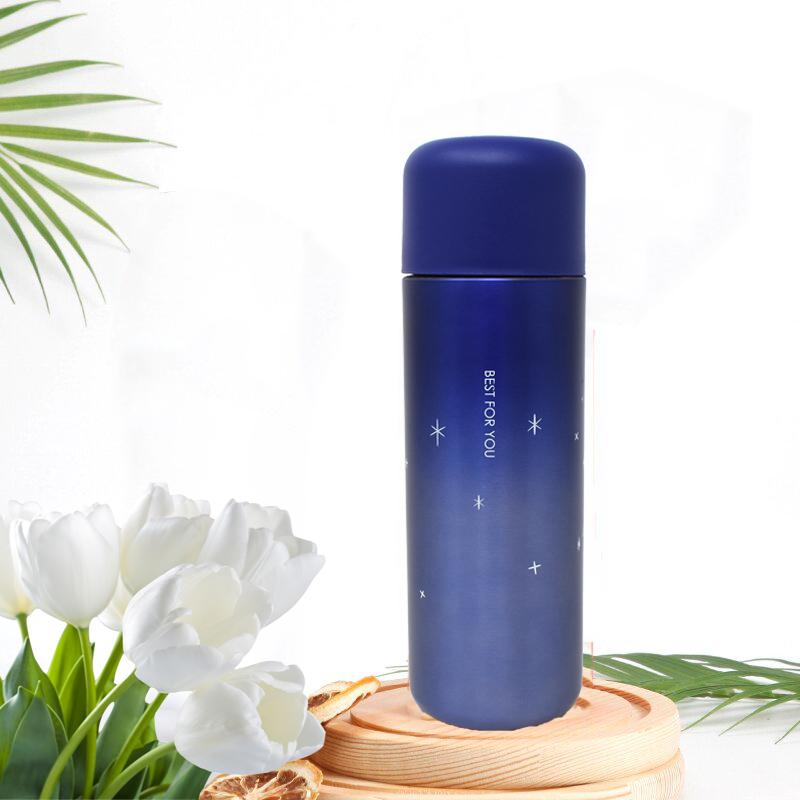 Style Homez STONY Flask  Vacuum Insulated Thermosteel Bottle  Stainless Steel Thermos BPA Free  Egyptian Blue Color 450 ml